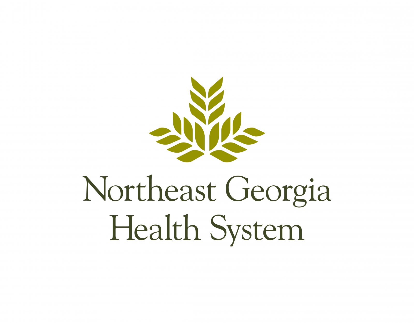 NGHS Logo